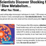 Harvard Discovery Reveals Shocking Cause of Slow Metabolism